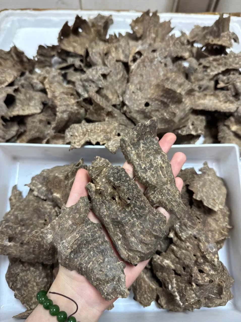 Premium Char Oud – Cultivated Agarwood Chips (High Oil Content for Incense &amp; Meditation)